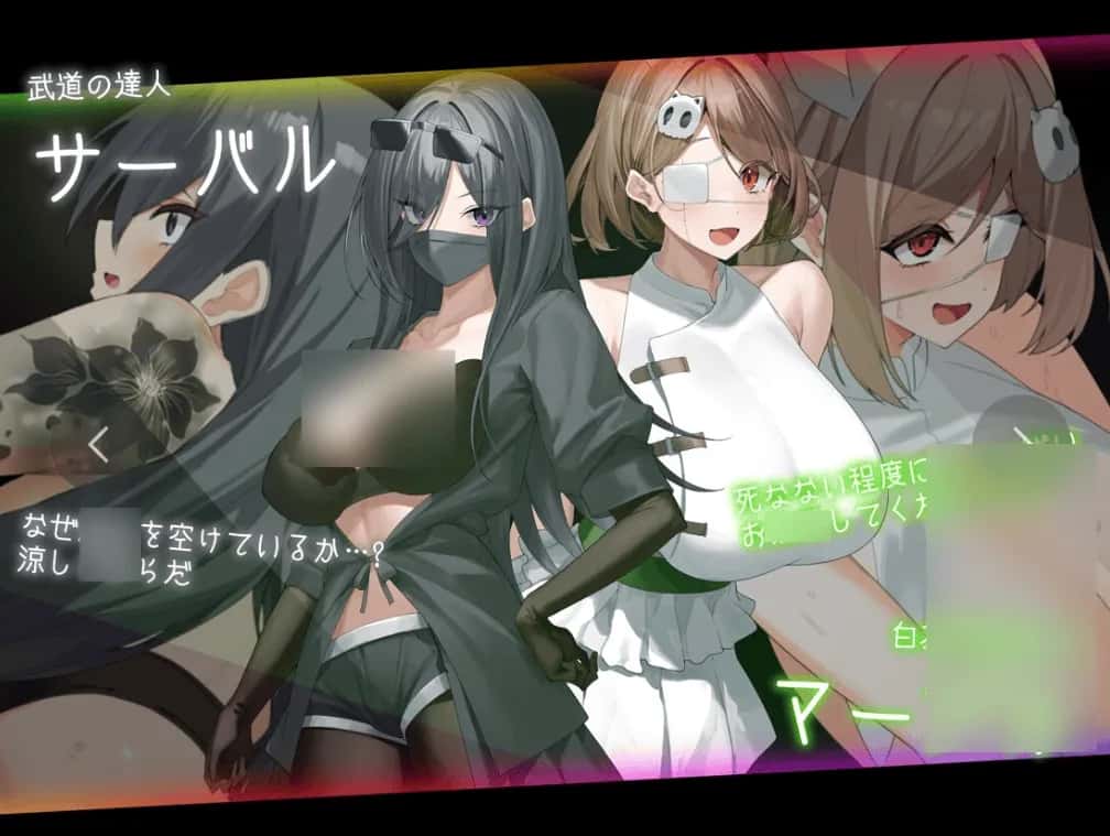 PC/ 盗贼猫的秘密记录 ドロケイ V1.0.1 精翻 版 6G全息投影